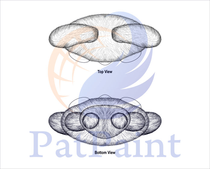 Design Drawings samples